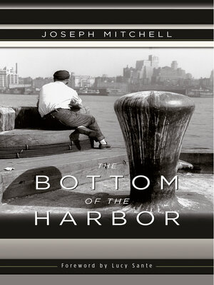cover image of The Bottom of the Harbor
